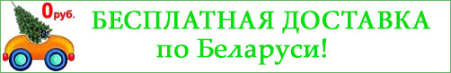 Бесплатная доставка елок по всей Беларуси